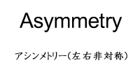 Asymmetryアシンメトリー(左右非対称)